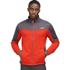 Мъжки суитшърт Regatta Highton Winter, L